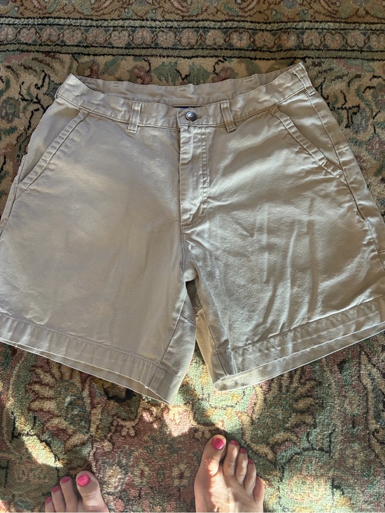 Patagonia Other - Patagonia Men's Beige Flat-Front Walk Shorts
